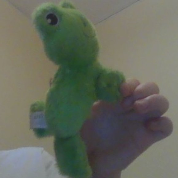 A Green Arm Hugger Frog! - Picture 3 of 4